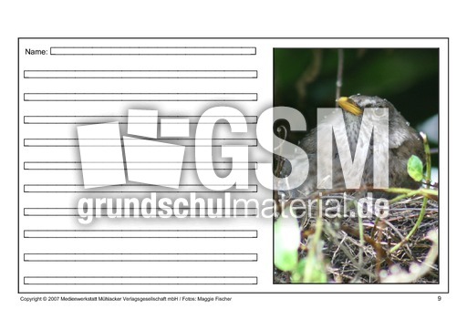 Amsel-eigene-Texte-9.pdf